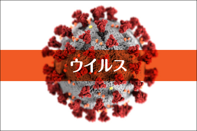 ウイルス
